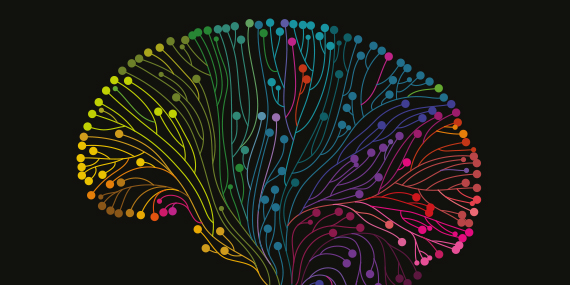 Imagen de La neuro revolución, cómo comprender tu cerebro